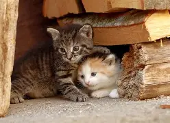 Child practicing deep breathing exercises